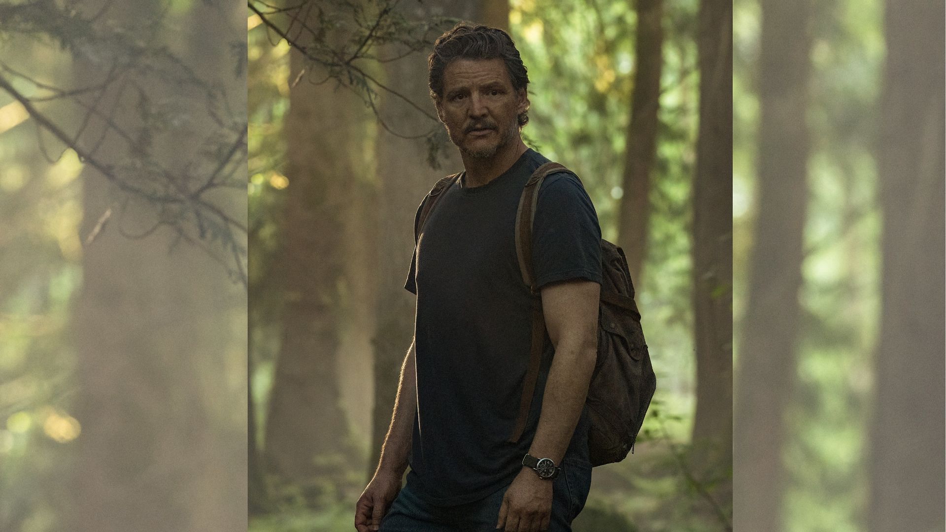 Joel's death was one of the most heartbreaking moments of The Last of Us season 2 (Image via Official Facebook Page)